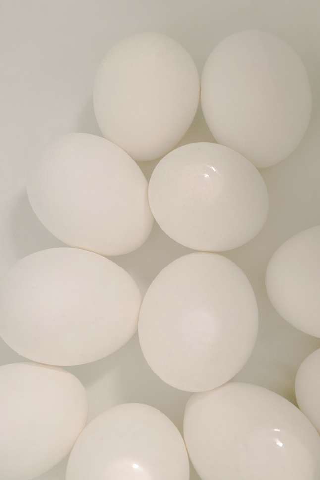 White Eggs on White Background